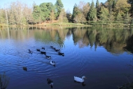 Ruta: Cotorredondo e lago Castiñeiras